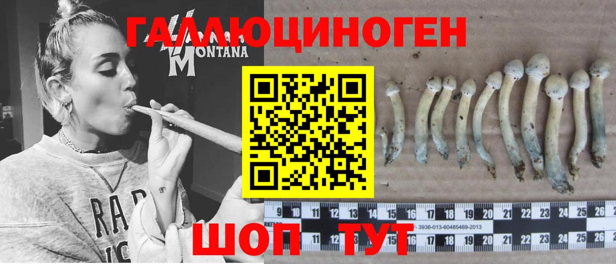 Тихвин  Галлюциногенные грибы Cubensis  Вход с VPN 