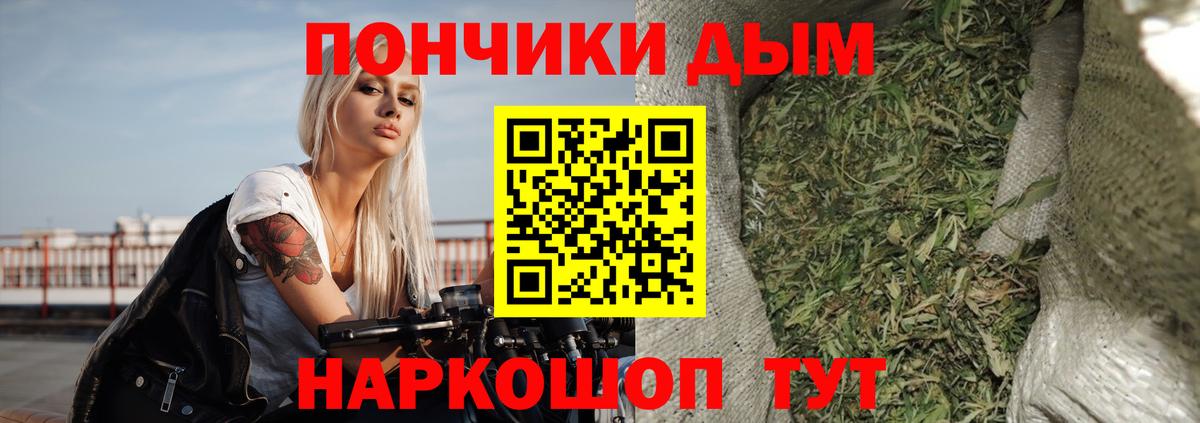Шишки марихуана конопля Тихвин